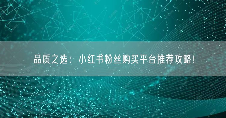 品质之选：小红书粉丝购买平台推荐攻略！