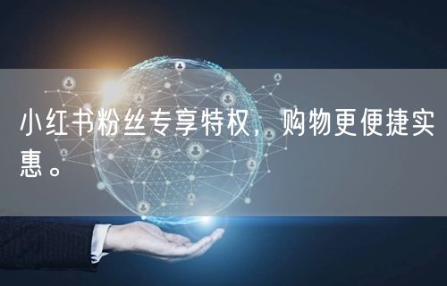 小红书粉丝专享特权，购物更便捷实惠。