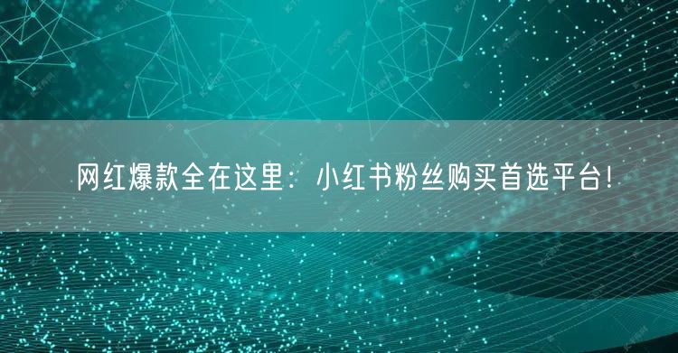 网红爆款全在这里：小红书粉丝购买首选平台！