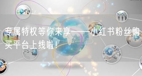 专属特权等你来享——小红书粉丝购买平台上