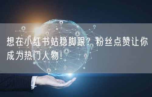 想在小红书站稳脚跟？粉丝点赞让你成为热门