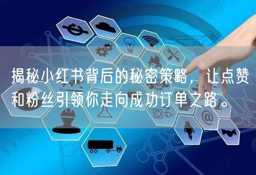 揭秘小红书背后的秘密策略，让点赞和粉丝引