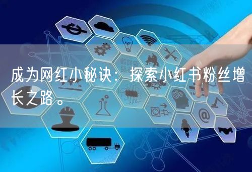 成为网红小秘诀：探索小红书粉丝增长之路。