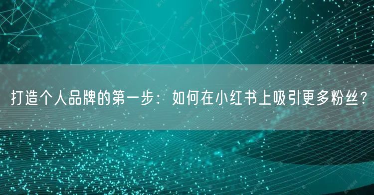 打造个人品牌的第一步：如何在小红书上吸引更多粉丝？