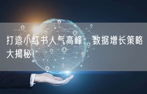 打造小红书人气高峰：数据增长策略大揭秘！