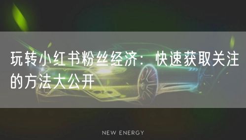 玩转小红书粉丝经济：快速获取关注的方法大公开