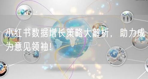小红书数据增长策略大解析，助力成为意见领袖！