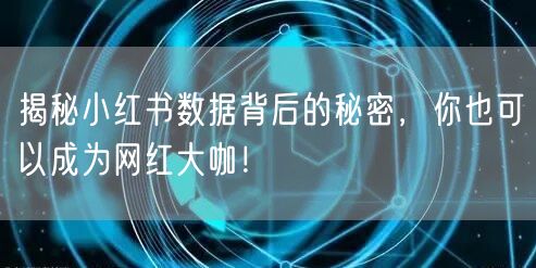 揭秘小红书数据背后的秘密，你也可以成为网红大咖！