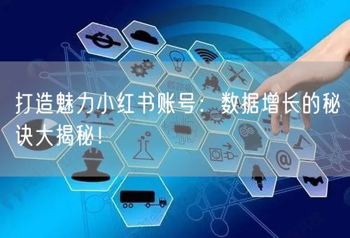 打造魅力小红书账号：数据增长的秘诀大揭秘！