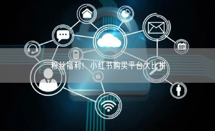 粉丝福利！小红书购买平台大比拼