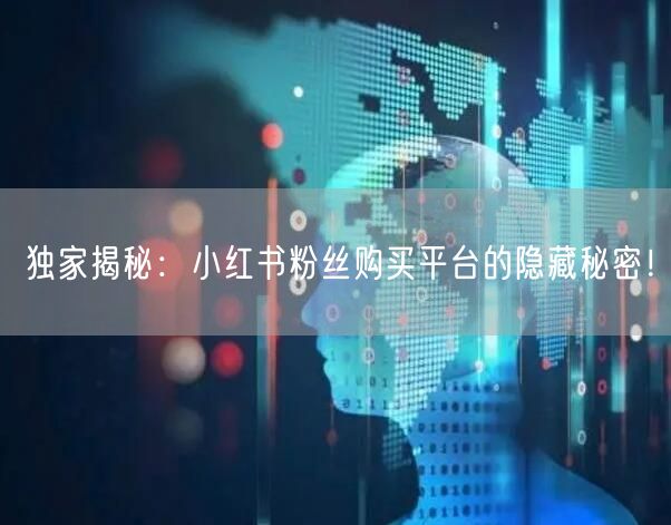 独家揭秘：小红书粉丝购买平台的隐藏秘密！