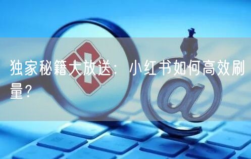 独家秘籍大放送：小红书如何高效刷量？