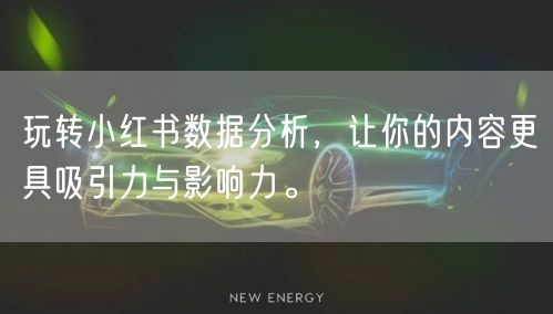 玩转小红书数据分析，让你的内容更具吸引力与影响力。