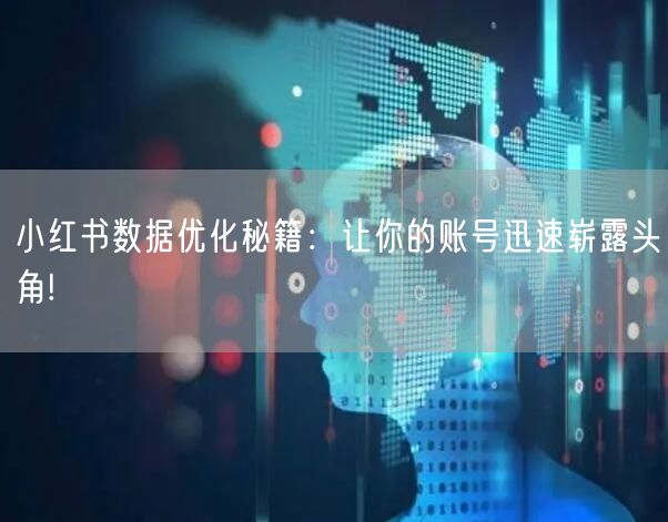 小红书数据优化秘籍：让你的账号迅速崭露头角!