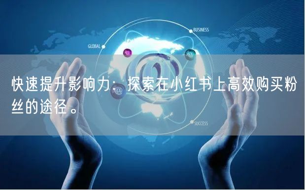 快速提升影响力：探索在小红书上高效购买粉丝的途径。
