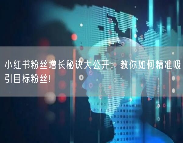 小红书粉丝增长秘诀大公开：教你如何精准吸引目标粉丝!