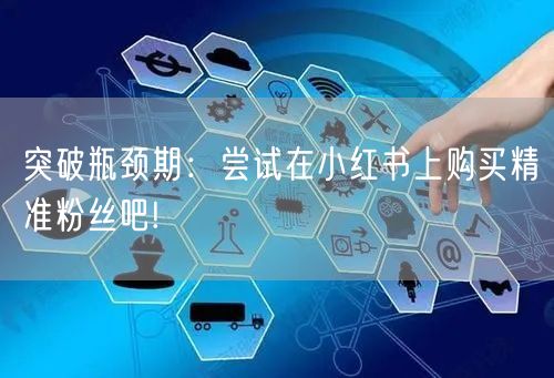 突破瓶颈期：尝试在小红书上购买精准粉丝吧!