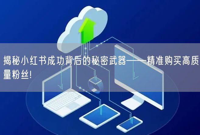 揭秘小红书成功背后的秘密武器——精准购买