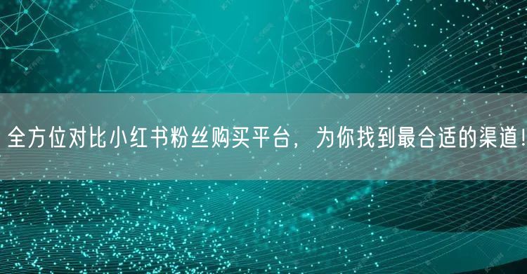 全方位对比小红书粉丝购买平台，为你找到最合适的渠道！