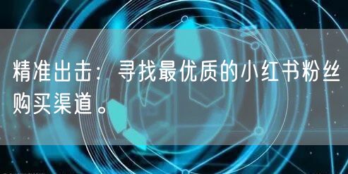 精准出击：寻找最优质的小红书粉丝购买渠道。