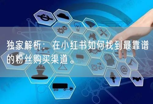 独家解析：在小红书如何找到最靠谱的粉丝购买渠道。