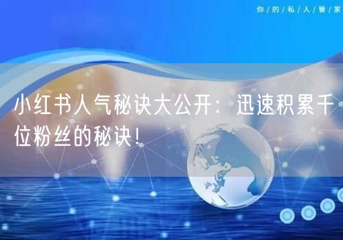 小红书人气秘诀大公开：迅速积累千位粉丝的秘诀！