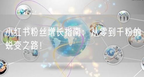 小红书粉丝增长指南：从零到千粉的蜕变之路！