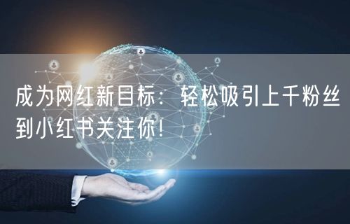 成为网红新目标：轻松吸引上千粉丝到小红书关注你！
