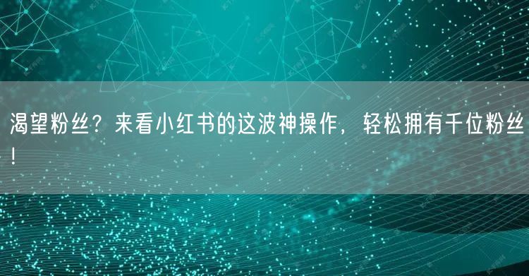 渴望粉丝？来看小红书的这波神操作，轻松拥有千位粉丝！