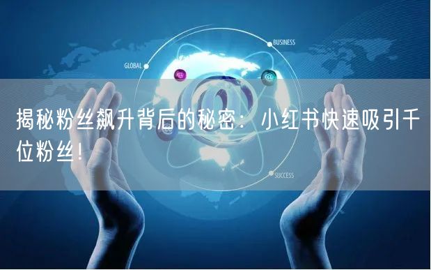 揭秘粉丝飙升背后的秘密：小红书快速吸引千位粉丝！