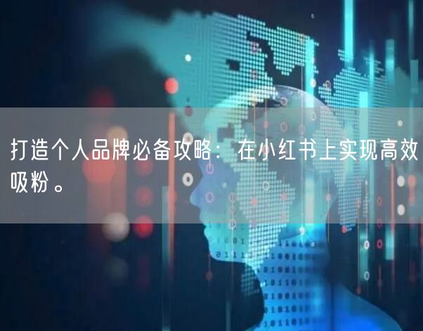 打造个人品牌必备攻略：在小红书上实现高效吸粉。