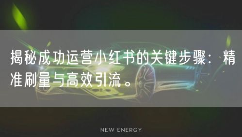 揭秘成功运营小红书的关键步骤：精准刷量与高效引流。