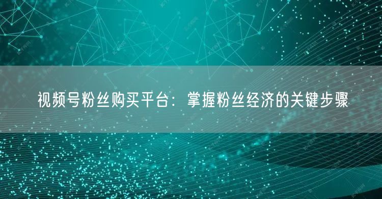 视频号粉丝购买平台：掌握粉丝经济的关键步骤
