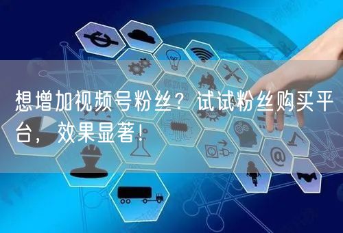 想增加视频号粉丝？试试粉丝购买平台，效果显著！