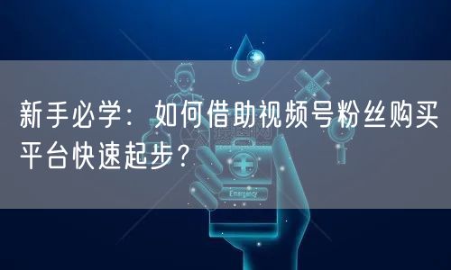 新手必学：如何借助视频号粉丝购买平台快速