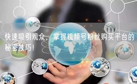 快速吸引观众，掌握视频号粉丝购买平台的秘