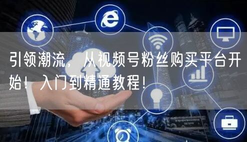 引领潮流，从视频号粉丝购买平台开始！入门到精通教程！