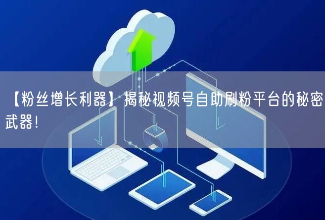 【粉丝增长利器】揭秘视频号自助刷粉平台的