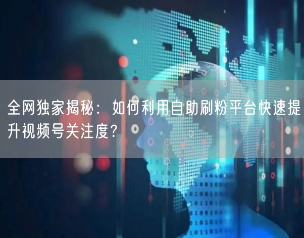 全网独家揭秘：如何利用自助刷粉平台快速提升视频号关注度？