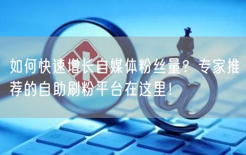 如何快速增长自媒体粉丝量？专家推荐的自助刷粉平台在这里！