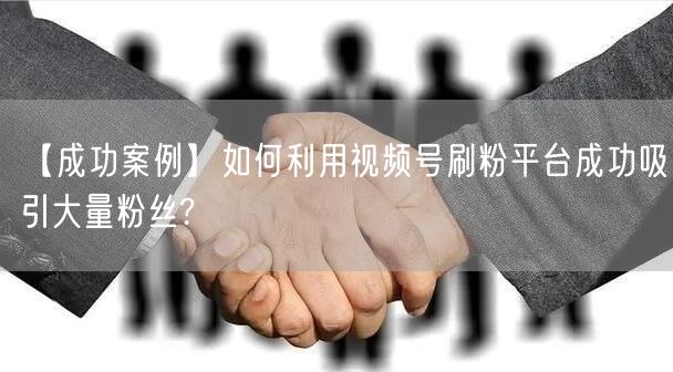 【成功案例】如何利用视频号刷粉平台成功吸