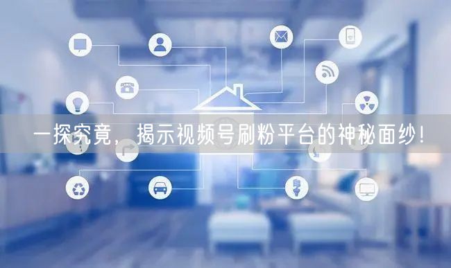 一探究竟，揭示视频号刷粉平台的神秘面纱！