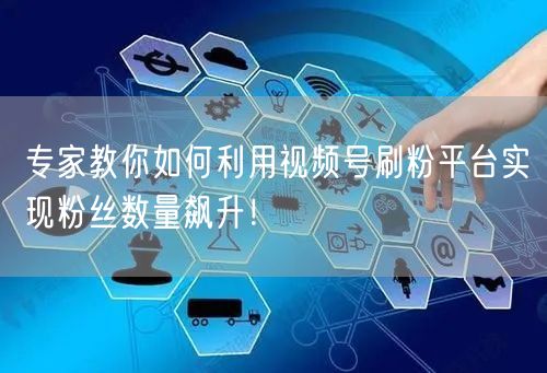 专家教你如何利用视频号刷粉平台实现粉丝数