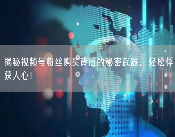 揭秘视频号粉丝购买背后的秘密武器，轻松俘获人心！