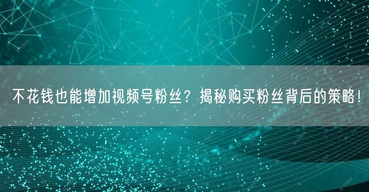 不花钱也能增加视频号粉丝？揭秘购买粉丝背后的策略！