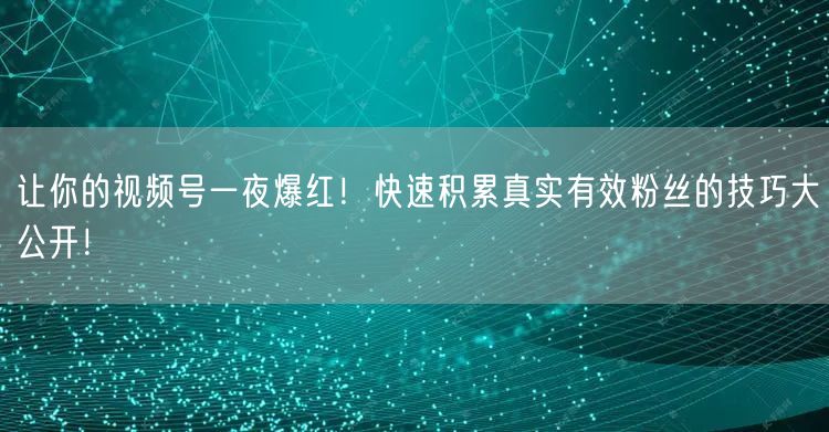 让你的视频号一夜爆红！快速积累真实有效粉丝的技巧大公开！