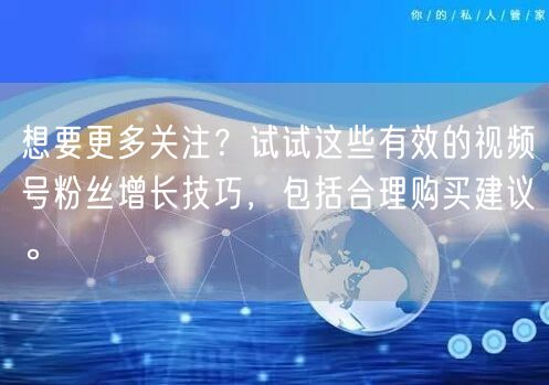 想要更多关注？试试这些有效的视频号粉丝增长技巧，包括合理购买建议。