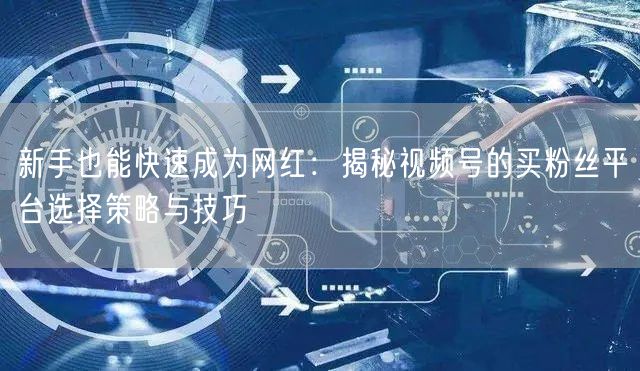 新手也能快速成为网红：揭秘视频号的买粉丝平台选择策略与技巧