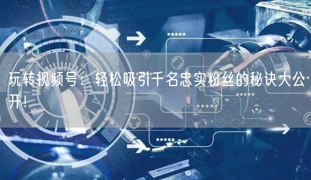 玩转视频号：轻松吸引千名忠实粉丝的秘诀大