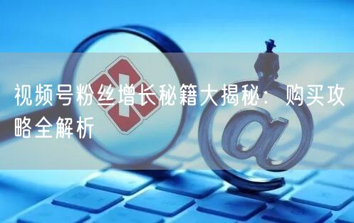 视频号粉丝增长秘籍大揭秘：购买攻略全解析